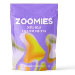 Costa Rican | Magic Mushrooms Ottawa Canada