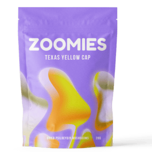 Texas Yellow Cap | Magic Mushrooms Ottawa Canada