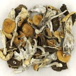 Full Moon Party | Magic Mushrooms Ottawa Canada