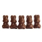 Alice - Mushroom Milk Chocolate - 2.5g | Magic Mushrooms Ottawa Canada