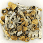Orissa | Magic Mushrooms Ottawa Canada
