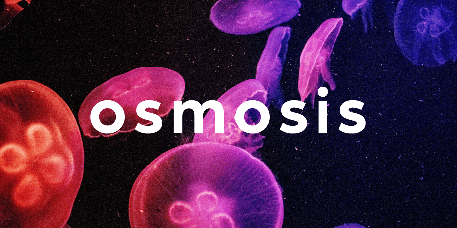 Zoomies osmosis banner | Magic Mushrooms Ottawa Canada