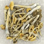 Trinity | Magic Mushrooms Ottawa Canada