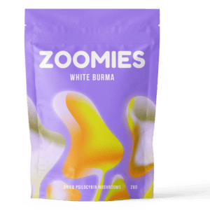 White Burma | Magic Mushrooms Ottawa Canada
