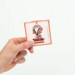 Wonder – Psilocybin Chocolate Bar – Blood Orange | Magic Mushrooms Ottawa Canada