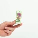 Wonder – Psilocybin Chocolate Bar – Dark Chocolate | Magic Mushrooms Ottawa Canada