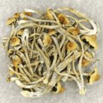 Hautla | Magic Mushrooms Ottawa Canada