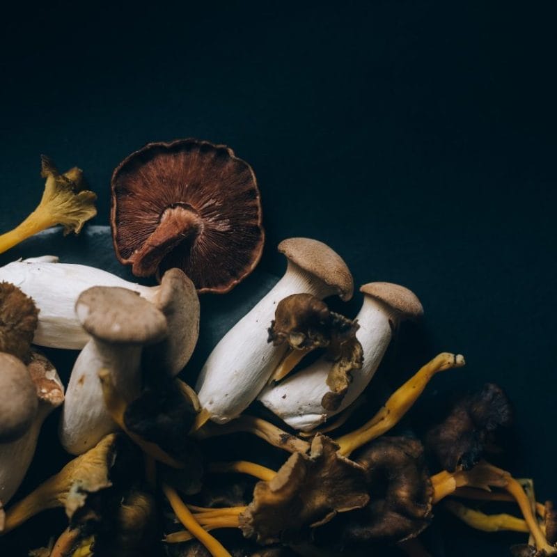 Dried Shrooms | Magic Mushrooms Ottawa Canada