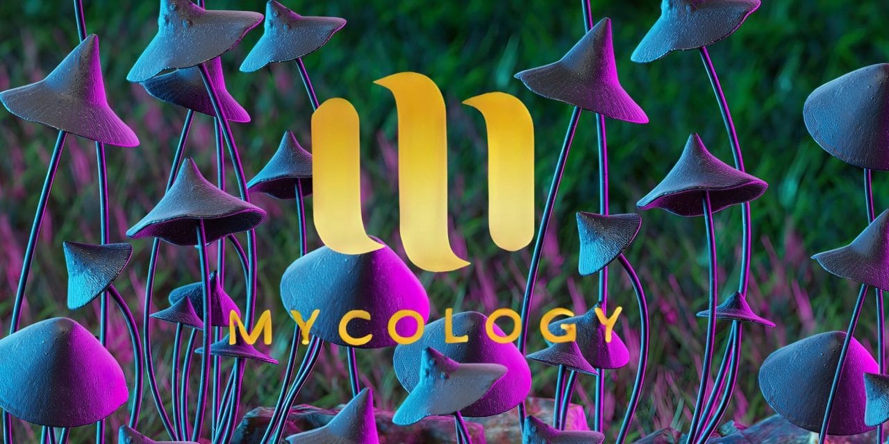 Zoomies Summer 2023 Banner - Mycology | Magic Mushrooms Ottawa Canada