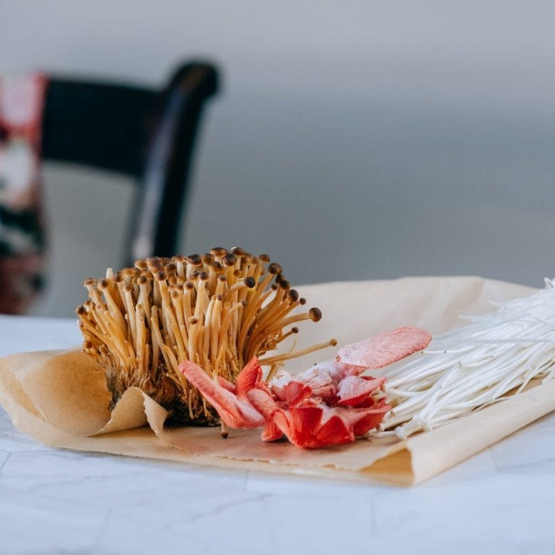 Buy Shrooms Online Canada (1) | Magic Mushrooms Ottawa Canada
