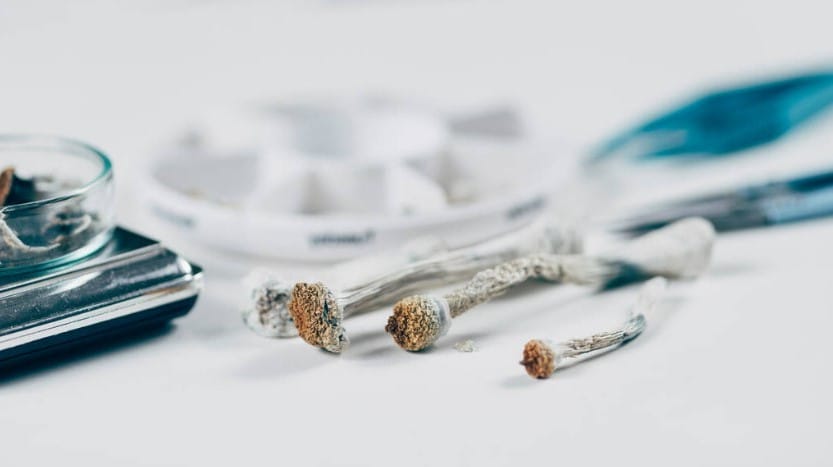 How Much Are Shrooms? Affordable shrooms online