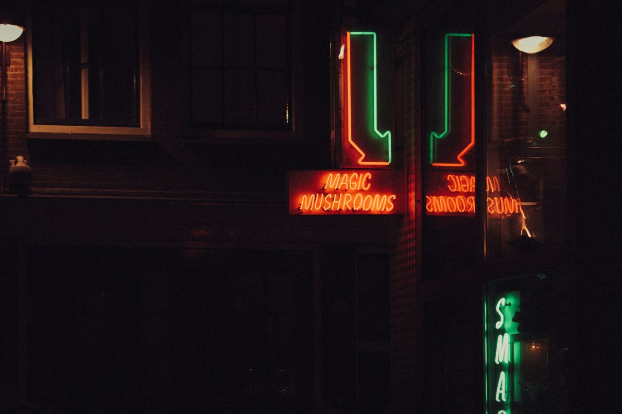 Vancouver’s Mushroom Dispensary – How Is Canada Gaining Momentum in the Mushroom Surge Comparable to the US?