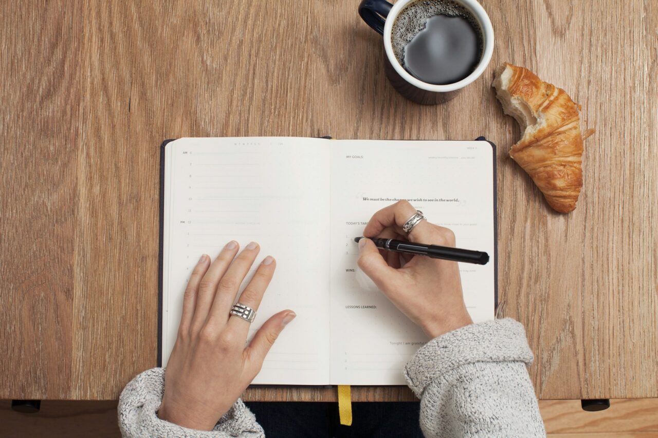 Treasure Coast Mushrooms and the Creative Writing Process